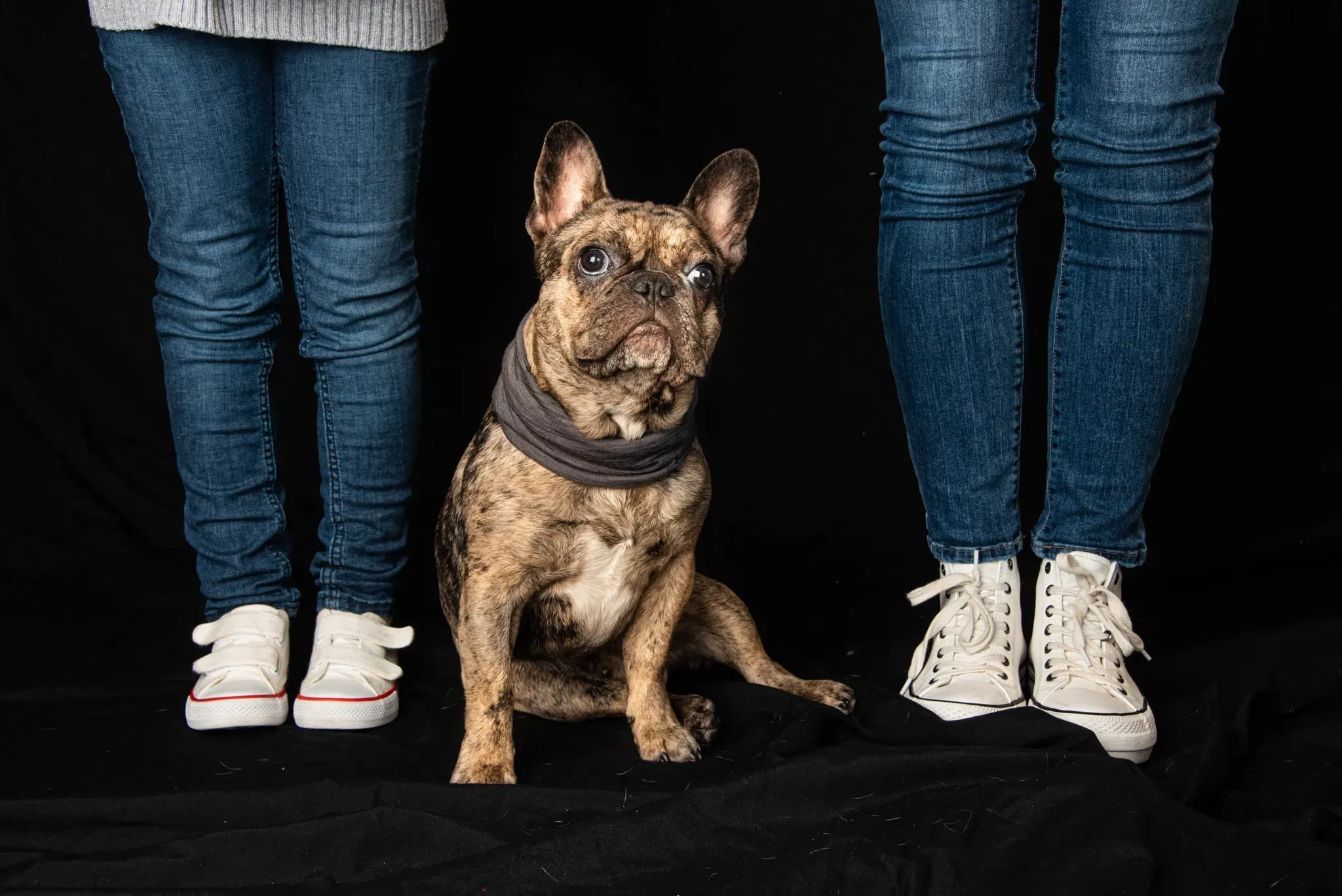 criserfamiliy mascotas-3700-2.webp criserfamiliy mascotas-3700-2.webp