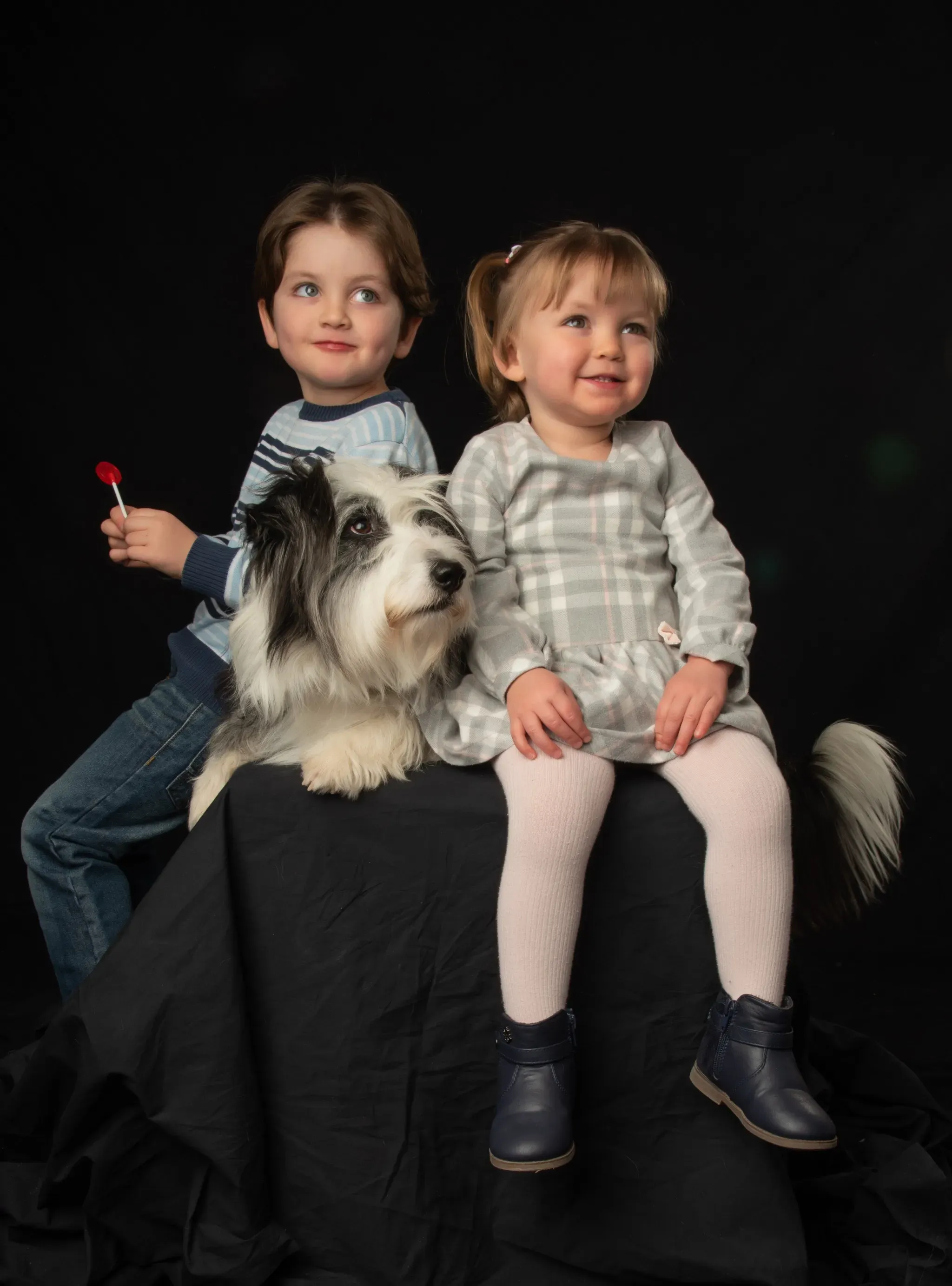 criserfamiliymascotas fotosmascotas lara-001034-2.webp criserfamiliymascotas fotosmascotas lara-001034-2.webp