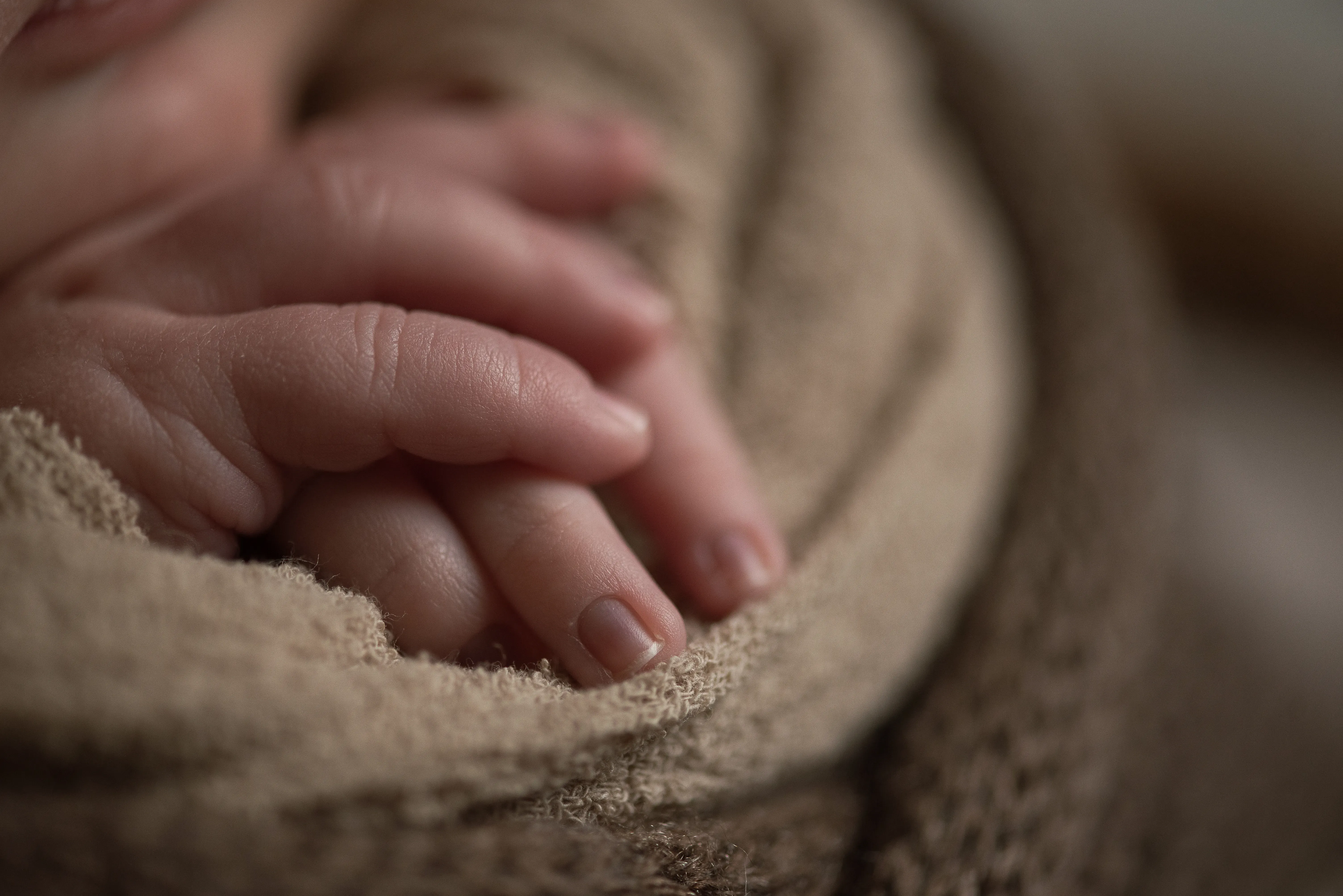 criserfamily_newborn_pablo099.webp criserfamily_newborn_pablo099.webp